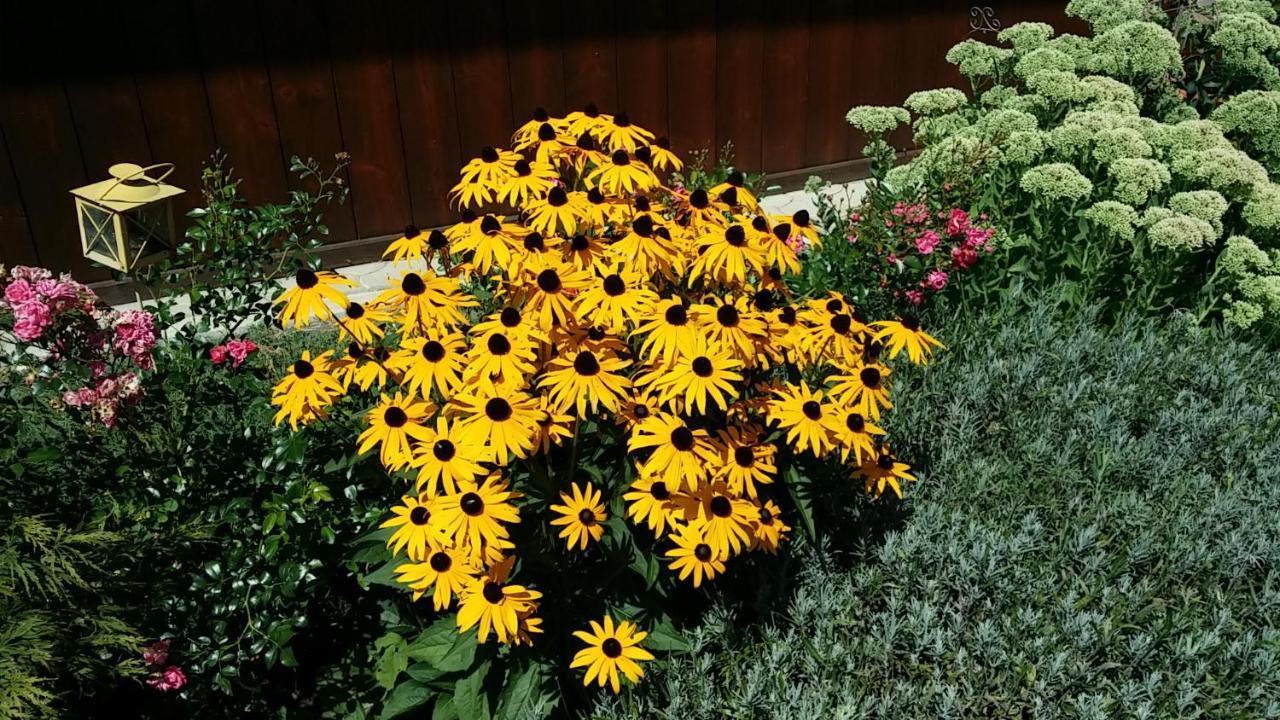 Ferienwohnungen Oranhof Velden am Wörthersee Zewnętrze zdjęcie